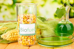 Plas Gogerddan biofuel availability