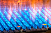 Plas Gogerddan gas fired boilers